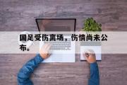 IM电竞下载网址-国足受伤离场，伤情尚未公布。