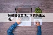 IM电竞下载网址-孙杨受伤离场，伤情尚未公布。