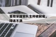 IM电竞下载网址-葡萄牙国家队主帅被解雇，球迷不满
