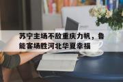 IM电竞下载网址-苏宁主场不敌重庆力帆，鲁能客场胜河北华夏幸福