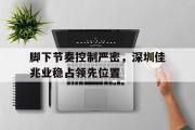 IM电竞下载网址-脚下节奏控制严密，深圳佳兆业稳占领先位置