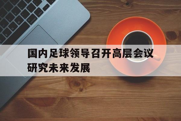 国内足球领导召开高层会议研究未来发展