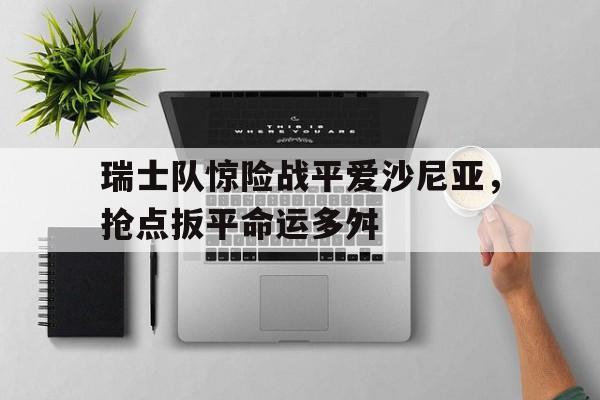 瑞士队惊险战平爱沙尼亚，抢点扳平命运多舛