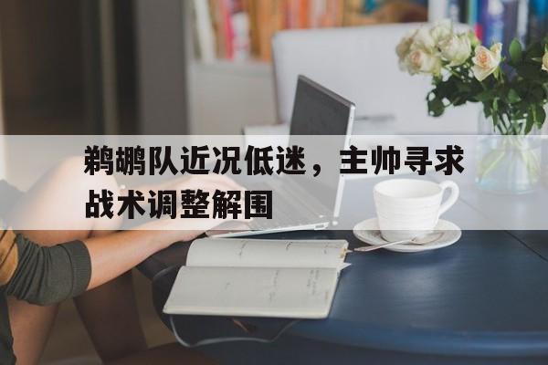 鹈鹕队近况低迷，主帅寻求战术调整解围